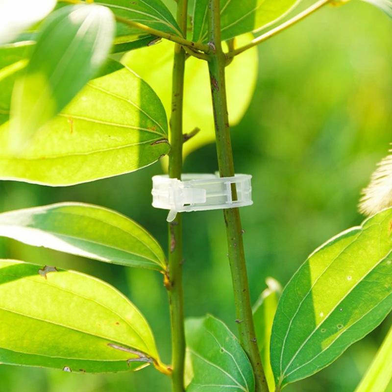 50pcs Tomato Clips Trellis Garden Plant Flower Vegetable Binder Twine Plant Support Greenhouse Clip Supplies