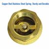 BSPT Thread Brass Check Valve Male To Mal Spring Check Valve Durable Pipe Check Valve