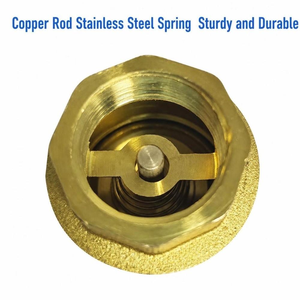 BSPT Thread Brass Check Valve Male To Mal Spring Check Valve Durable Pipe Check Valve