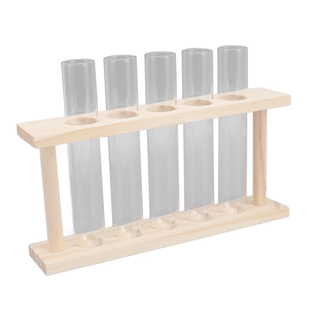 5 Test Tube Plant Terrarium Transparent Observe Growth State Plant Terrarium with Wooden Stand