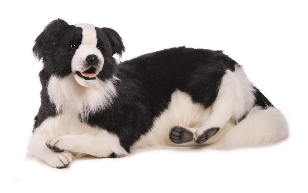 HANSA Border kolie 84.99x40.01x32 cm Akryl č.4564