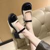 French Retro Shallow Mouth Mary Jane Shoes Women's Spring 2025 New Thick Heel Single Shoes One-word Buckle Belt Small Leather Shoes Tide