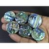 06Pcs Abalone Shell Round Cabochon Loose Natural Gemstone 252Cts.Lot 23-30MM C-1723