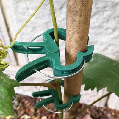 Herramientas de jardinería – Cintas y clips para atar plantas