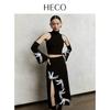 Heco Phoenix Cloud New Chinese Style Top and Skirt Set
