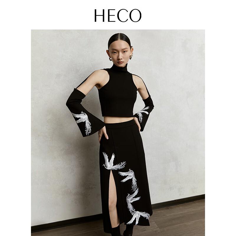 Heco Phoenix Cloud New Chinese Style Top and Skirt Set