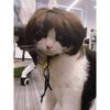 Pet Wig Dog Wig Pet Supplies Halloween Pet Accessories Curly Hair Straight Hair Cat Wig It Can Be DIY Trimmed