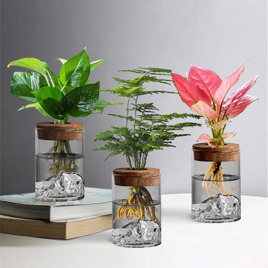Glass Plant Propagation Station Clear Mountain Hydroponic Planter Artistic Flower Vase Plant Propagation Jar for Home Living Room Bedroom Desktop