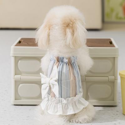Bekleidung & Schuhe – Hundekleider