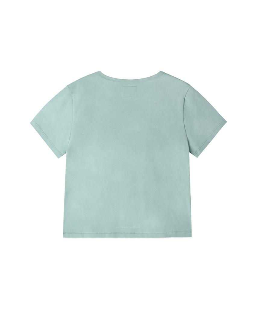 PHYPS MOTORCYCLE Womens Damage Washed Wing Logo Crop Tee Tee