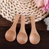 Kitchen Home Cooking Seasoning Jars Wooden Spoons Condiments Spoons Mini Spoons Kitchen Supplies