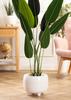 Botanica Cream Flower Pot On Legs