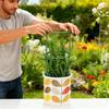 Plastic Climbing Vine Stake Prevent Tipping Over Garden Plant Stake Flower Support Rack  Greenhouse