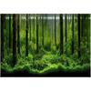 Aquarium Background 10 Gallon Tank Aquarium Poster Aquarium Forest Background Picture Fish Tank Background PVC Adhesive Underwater Forest Tank Poster