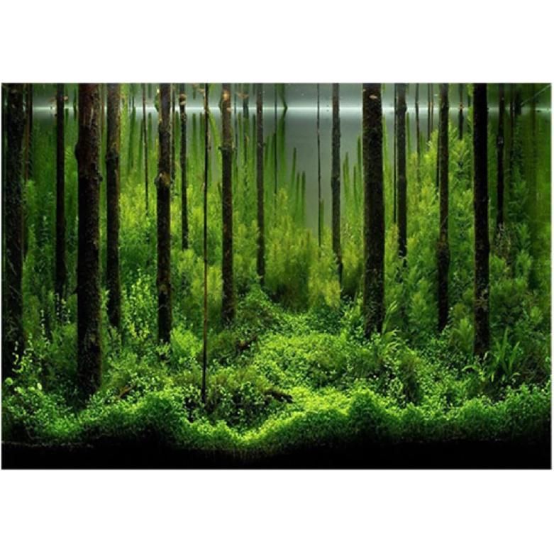 Aquarium Background 10 Gallon Tank Aquarium Poster Aquarium Forest Background Picture Fish Tank Background PVC Adhesive Underwater Forest Tank Poster