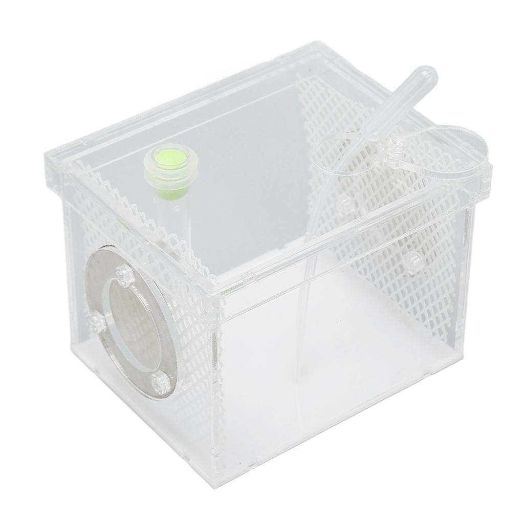 Reptile Insect Enclosure Tank Mini Acrylic High Transparency Moisturizing Reptile Insect Breeding Box S