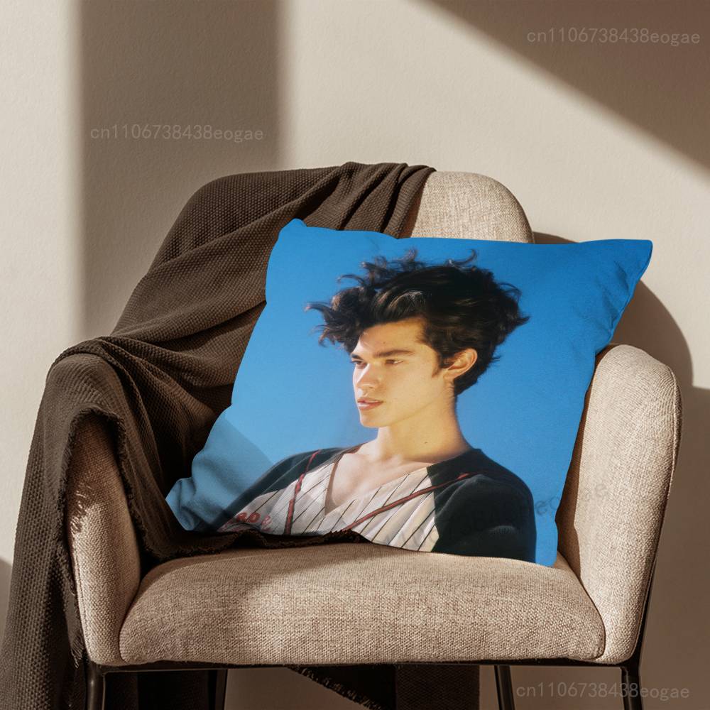 Handsome C-Conan G-Gray Pillow Case For Room Sofa Cushion Cover Suitable For Home Bedroom Decoration And Protector