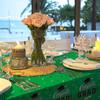 Wear-Resistant Graduation Tablecloth PE Material Disposable Table Cover Table Runner  Class of 2026