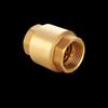 DN40 Brass Vertical Check Valve