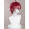 Ayato Sakamaki Cosplay Wig, Heat-Resistant, Perfect for Halloween, Events, and Photoshoots.