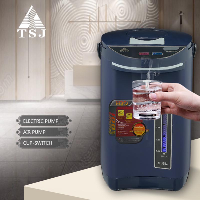 TSJ Electric Kettle, 110V/220V, Stainless Steel, Keep Warm, Constant Temperature