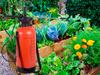 Pressure Sprayer S-8Lb (6)