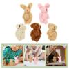 Homoyoyo Miniature Plush Toys - Bear & Rabbit Set of 5 (4.5cm) - Cute Dollhouse Dolls, Mini Bears, Teddy Bears, Decorative Parts, Handmade Gift