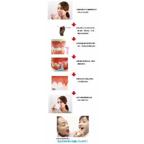 Concours F 100ml L APIS: Dental One-Tufted Brush (Includes 1 Brush) Jointly Developed with Dental Services, Swedish-Style Brushing for Finishing Brush
