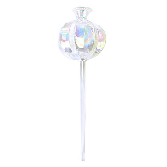 

Радужные самополивающиеся глобусы Стеклянные в форме граната Автоматическая поливочная колба Вставка для посадки Ирригационный инструмент для комнатных и уличных растений Дом 1pc