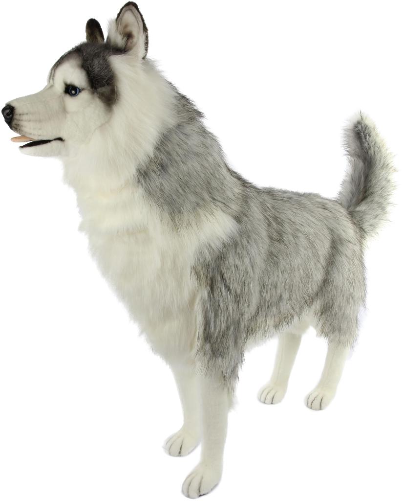 BH8331 HANSA Siberian Husky Grey 115