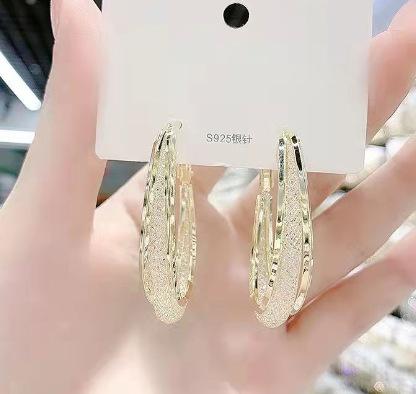 Reticulated zircon circle earrings, Korean version, exquisite temperament, high-end sense, new niche design, light luxury earrings.