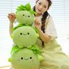 New Cute Vegetable Series Kohlrabi Doll Doll Cute Children's Birthday Gift Plush