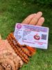 Mala de Rudraksha Certificada em Laboratório 108+1 Contas Origem Indiana 5 mukhi 5 faces (Contas redondas de 5 mm) Rosário de Shiva Jaap Mala Yoga Oração Cura