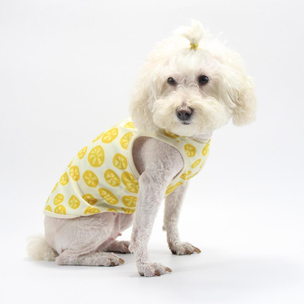 

Fruit print Pomeranian teddy clothes, cute and thin medium and small dog pet vests, starting from 2 pieces after clearance. FL (Fadou Da) лимон