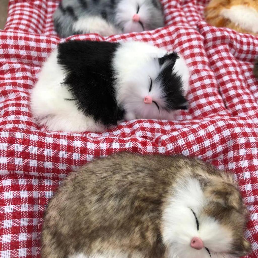 Bambuskohle Katze Auto Ornament mit Schmuckunterlage und Simulationskätzchen.