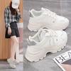 Zi Autumn and Winter New Platform Dad Shoes Women's 2025 Versatile Casual Sports Shoes 2025 Mountaineering Travel Shoes