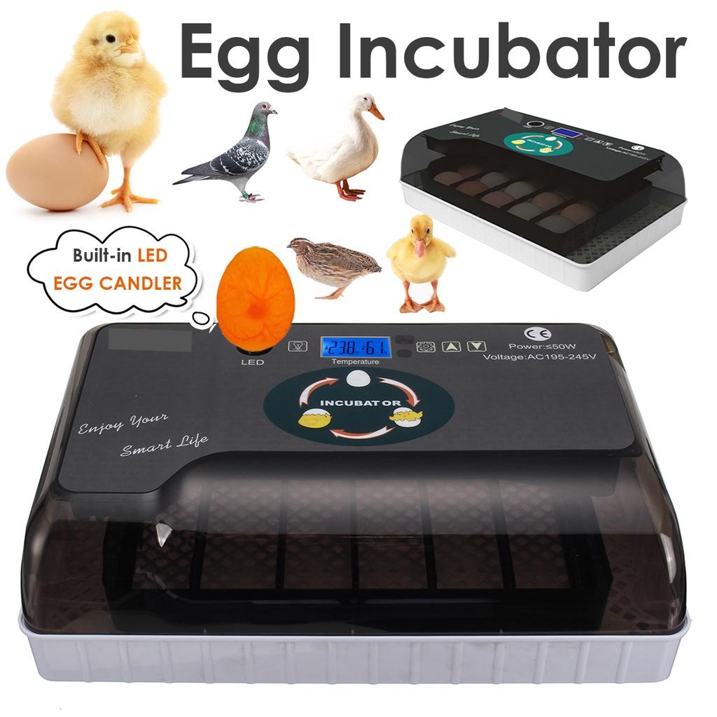 AC 110-220V Automatic Incubator 20 Chick Egg Large Capacity Incuator Digital Temperature Control Brooder Quality Hatchery Machine Black+White
