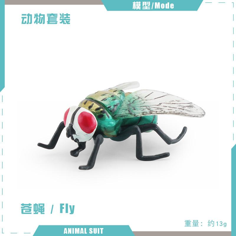 Simulated Insect Model, Liriodendron Beetle, Beetle, Triangular Dead-Leaf Frog, Reptile, Desktop Toy