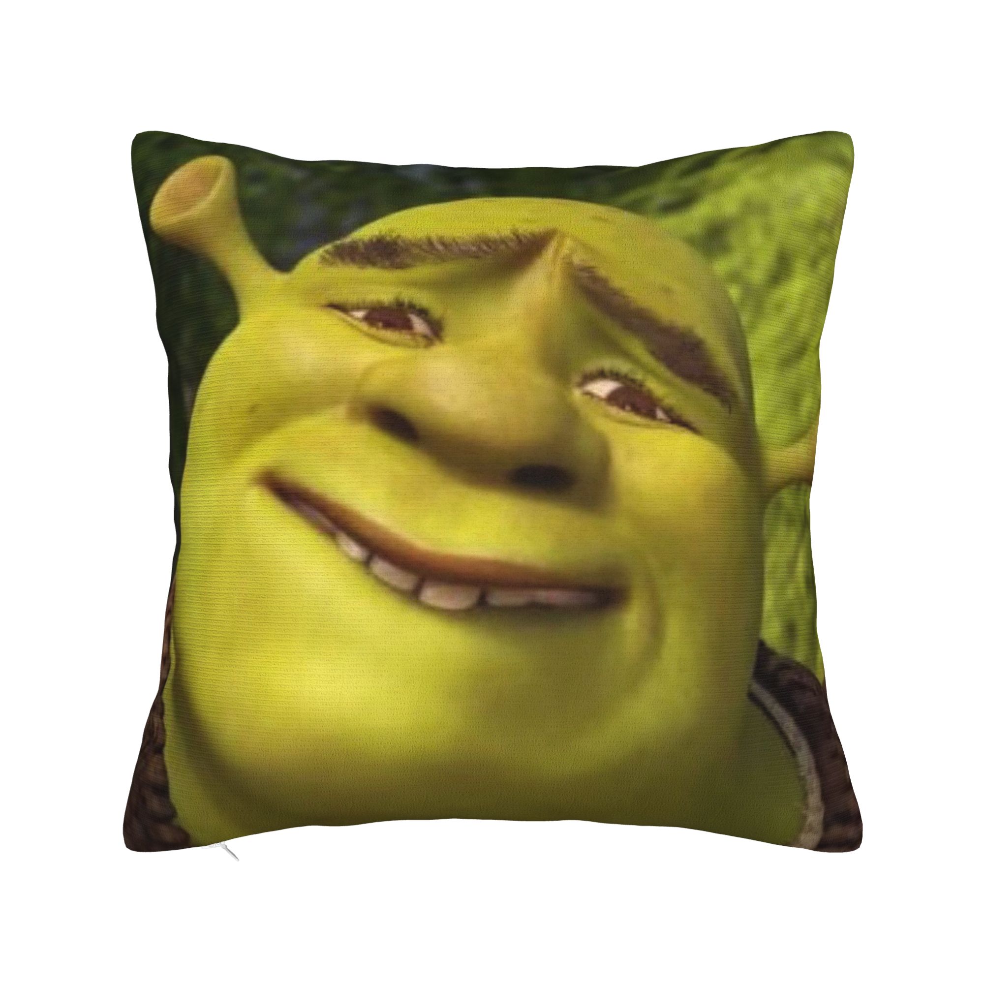 

Shreks The Eras Tour Funny Pillowcase Polyester Cushion Cover Gift Throw Pillow Case Cover Living Room Zippered 45X45cm 16x16Inch