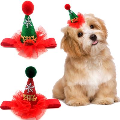 Giyim ve ayakkabı – Köpek için şapkalar