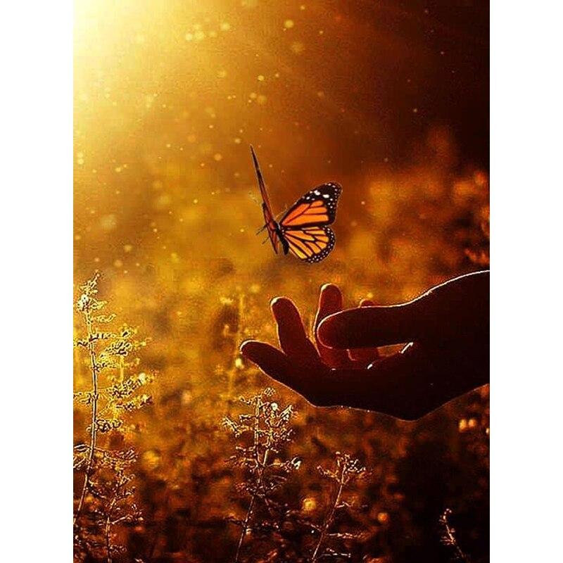

Новый 5D DIY Алмазная картина Бабочка Алмазная вышивка животных вышивка крестиком полная круглая дрель ремесла домашний декор художественный подарок Full Round 15x20CM