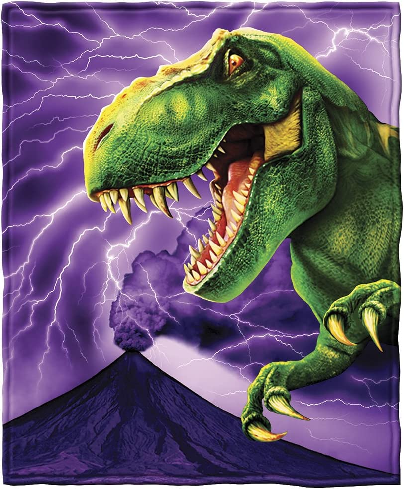 Dinosaur Blanket for Boys Kids Cartoon Dino Soft Plush Toddler Throw Blanket Cute Print Travel Blankets for Girls Sofa Bed