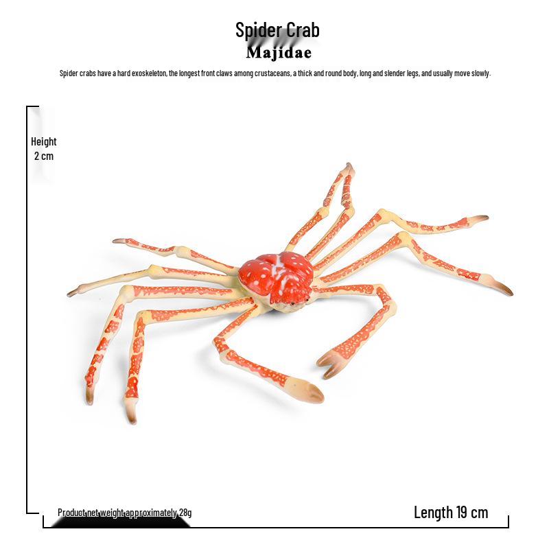 Children s Educational Ocean Animal Model: Realistic King, Spider, and Crab Toy Ornament