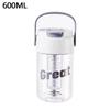 600/800ml High-Capacity Straw Water Cup Premium Sports Water Bottle Perfect Outdoor Camping Drinking Tool for Refreshing Summer
