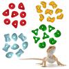 10pcs Multi-Color Reptiles Climbing Holds Random Enrichment Toy NEW Climbing Toys  Bearded Dragons