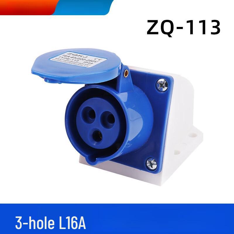 

Ruide Industrial Surface Mount 3-Pin 16A Aviation Socket (2-Pack) CN plug (adapter included)