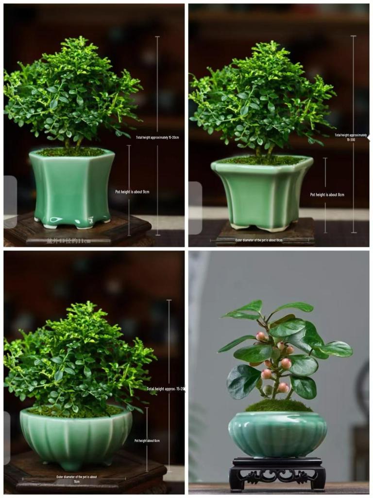 Zisha Succulent Flower Pot Ceramic Incense Burner – Glazed, Creative Desktop Bonsai Planter, Handmade, for Office Decor.