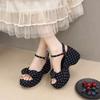 Small Man Thick-soled Wedge Sandals Women's 2025 New Summer Skirt French Beautiful Not Tired Feet High Heels