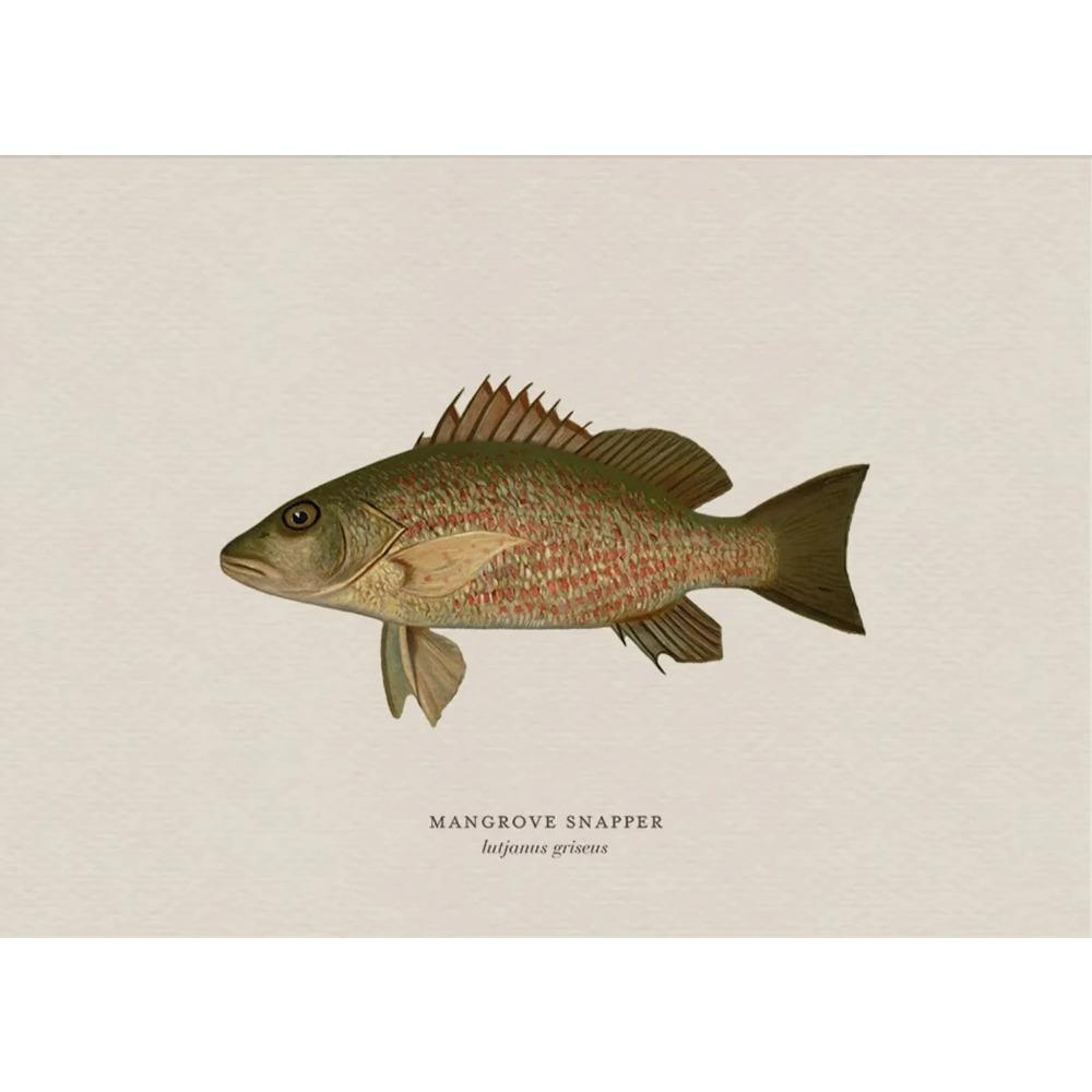 Vintage Bass Fish Trout Fly Fishing Posters Prints Canvas Painting Fisherman Retro Wall Art Picture for Living Room Home Decor