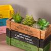 Retro Boxes Crates Tools Sundries Storage Case Multifunction Wooden Holder for Indoor Plant Flower Retro Planter